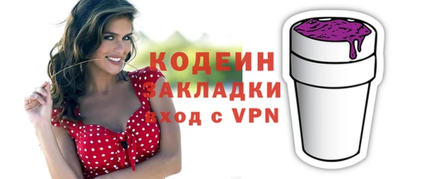 молекула духа Богданович