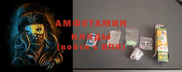 молекула духа Богданович