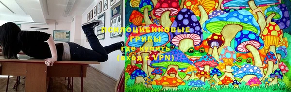 тгк Михайловск
