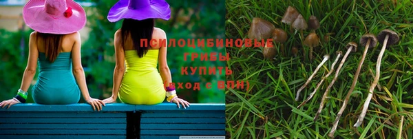 ешки Михайловка