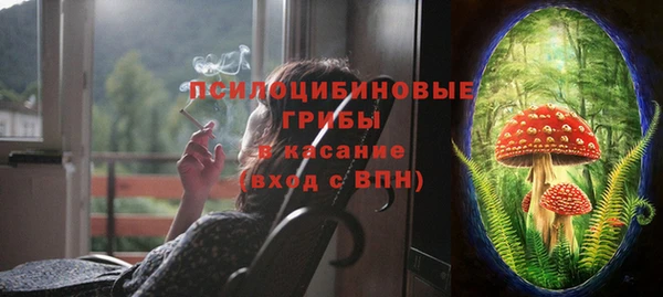 тгк Михайловск