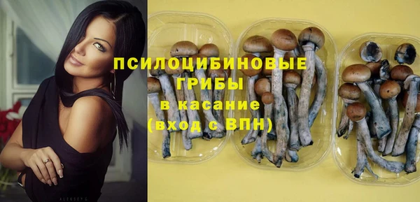 тгк Михайловск
