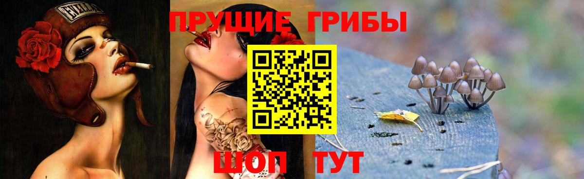 что такое   Галлюциногенные грибы Magic Shrooms  Беслан  Галлюциногенные грибы ЛСД 